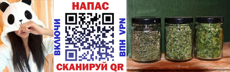 купить наркотики цена  Сосновый Бор  Бошки марихуана Amnesia 